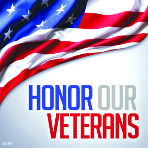 Veterans Day Flags